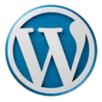SEO Expert In Kannur Using WordPress